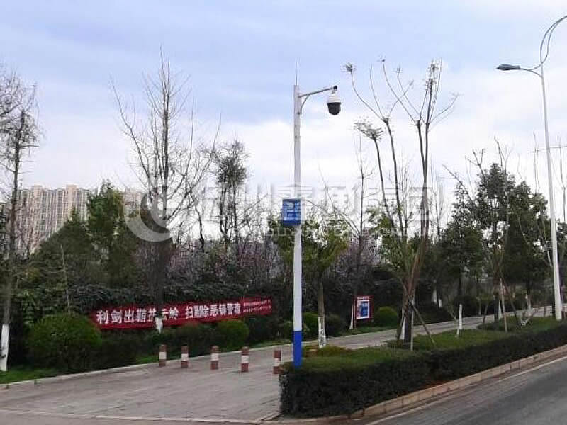 DJG-025，電子警察桿，治安監(jiān)控桿